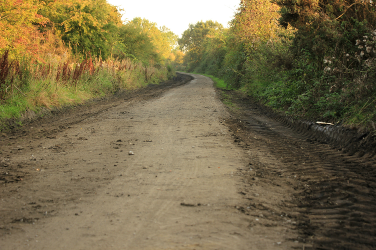Mud and stones on Nidderdale Greenway