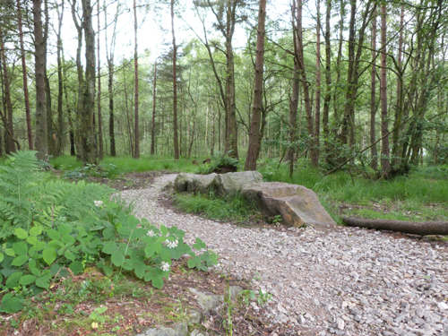 Beecroft bike trail, rock features