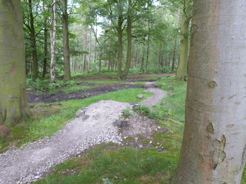 Beecroft bike trail roller