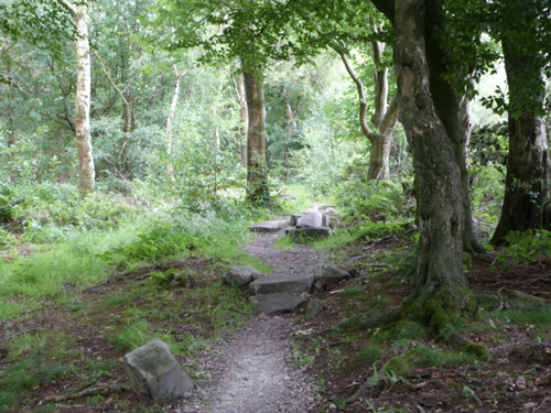 Beecroft mountain bike trail