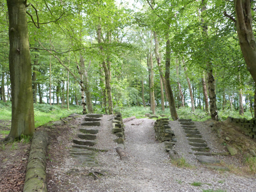 Beecroft mountain bike features