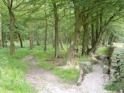 Beecroft bike trail, features zone exit