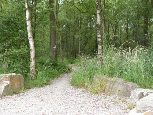 Entrance to 'features' area, Beecroft Plantation