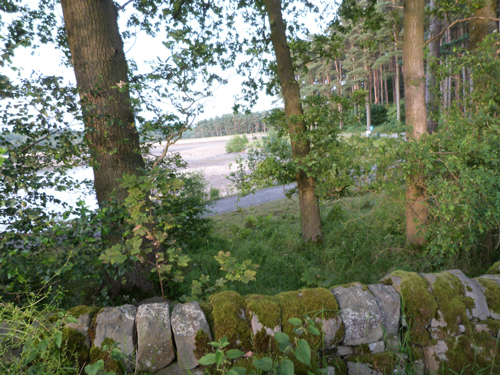View of Fewston reservoir from bike trail