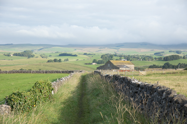Track near Bell Busk