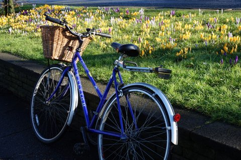 Bike with basket