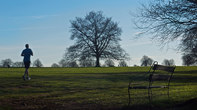 Bristol Downs