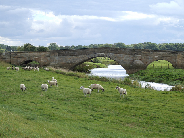 Derwent Bridge, Bubwith