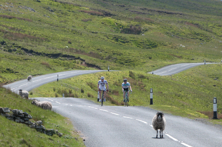Cyclists on Buttertubs Pass