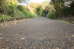 Newly resurfaced Cinder Track