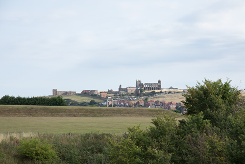 View of Whitby Abbey from Larpool Viaduct
