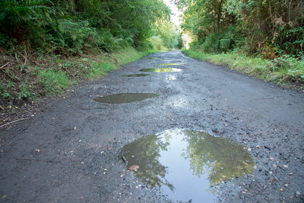 Puddles on the Cinder Track