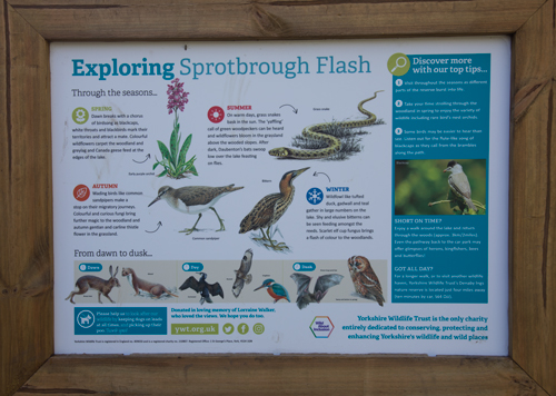 Sprotbrough Flash