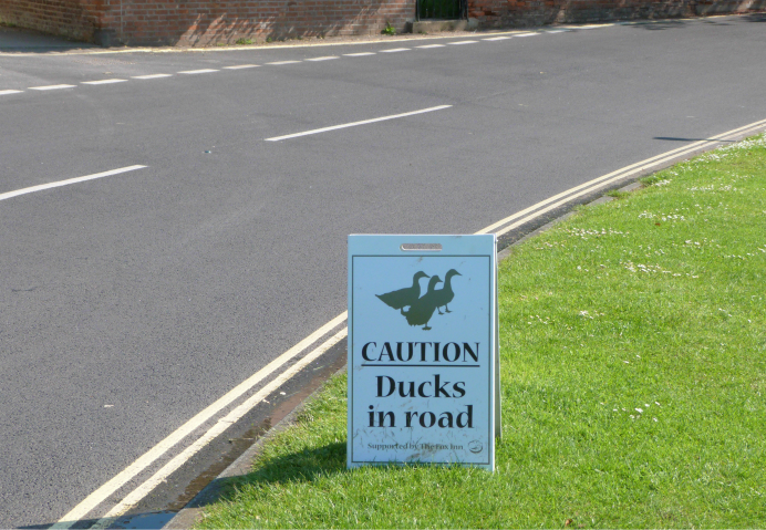 Ducks in road sign, Finchingfield