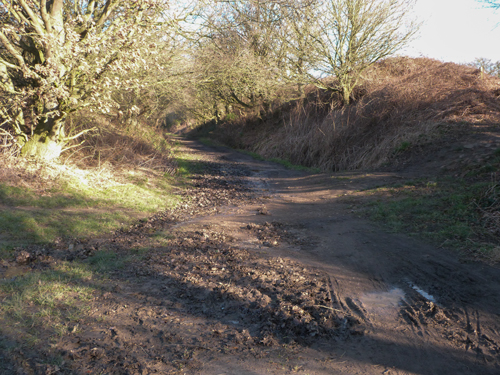 Muddy surface of the Linesway