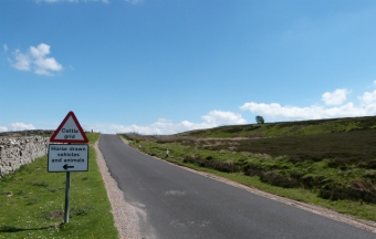 Grinton Moor