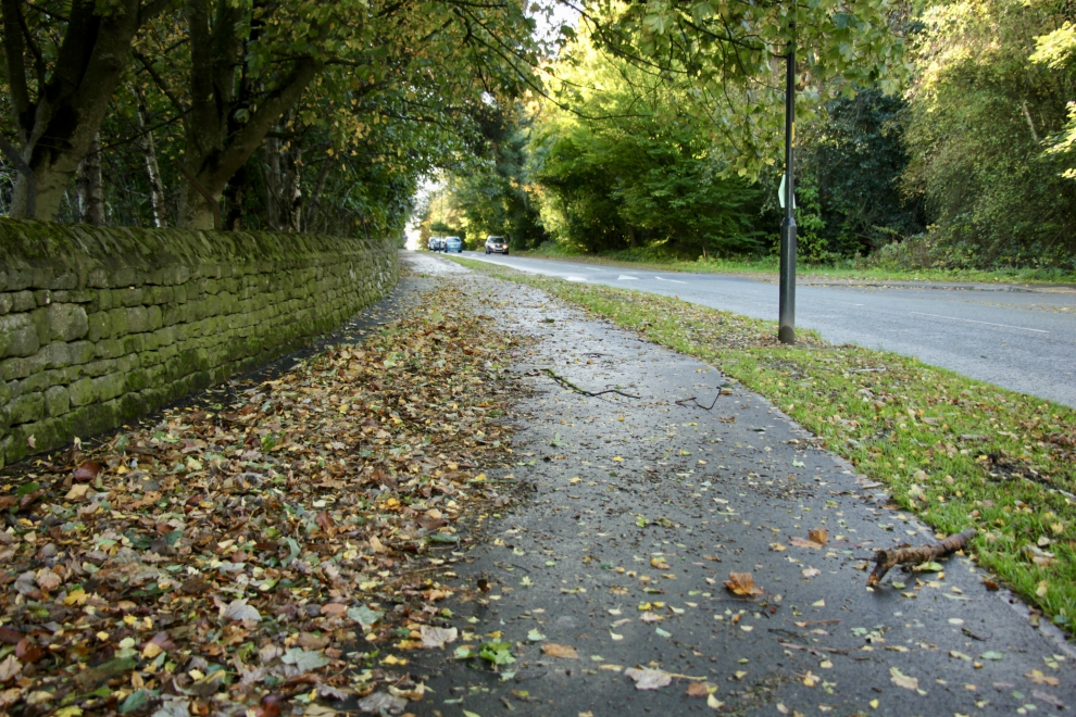 Harlow Moor Road, shared use path