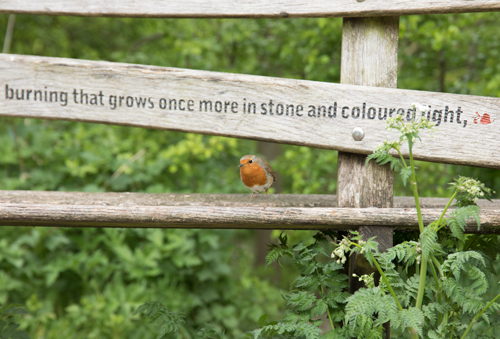 Robin on Goodmanham carved poetry bench