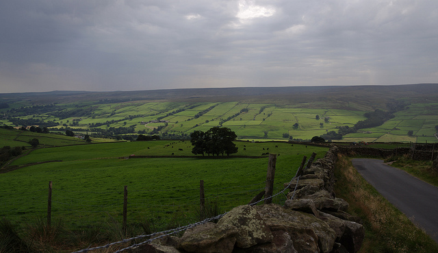 Hill above Lofthouse