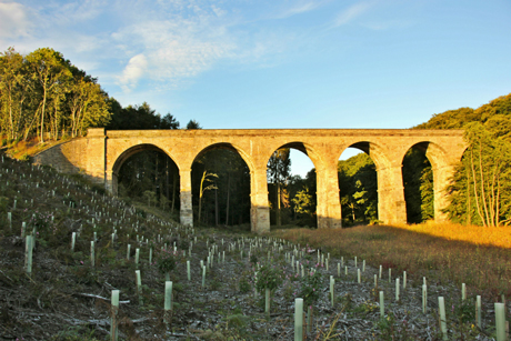 Nidd viaduct