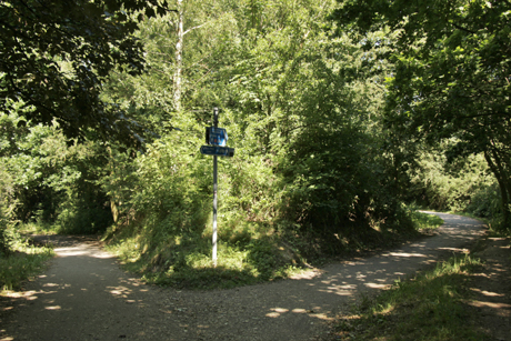 Nidderdale Greenway, fork in path at Bilton