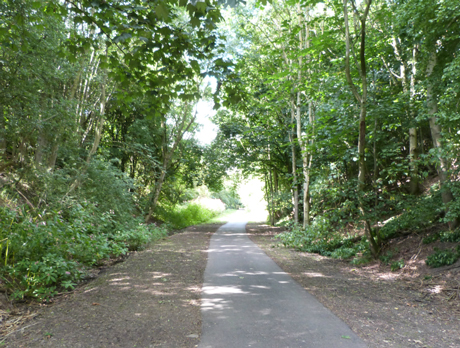 Woods along the Nidderdale Greenway