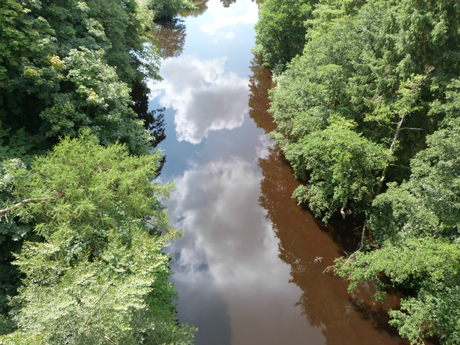 View from Nidd viaduct