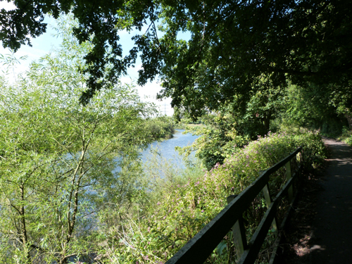 Path by the Ouse between Rawcliffe and Skelton
