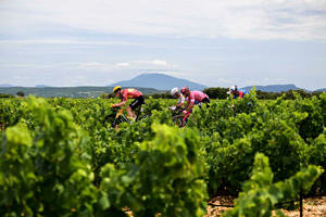 Four-man break on Stage 17 TDF 2025