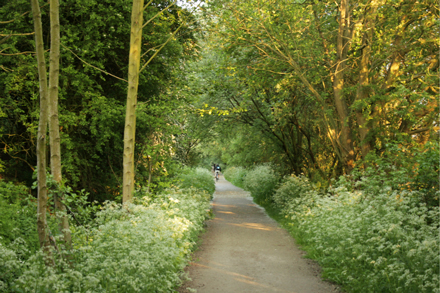 Cycle path from The Avenue, Starbeck, to the Nidderdale Greenway