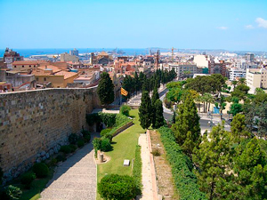 Taragonna