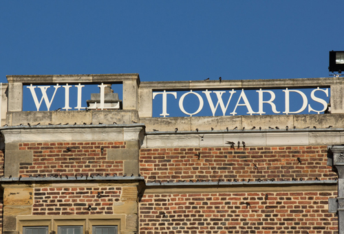 House martins at Temple Newsam
