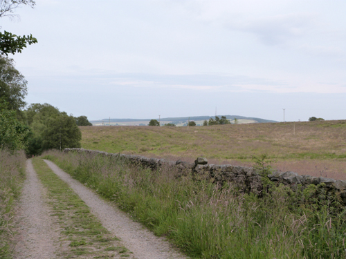 Track on the edge of Timble woods
