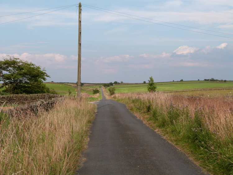 Watson's Lane