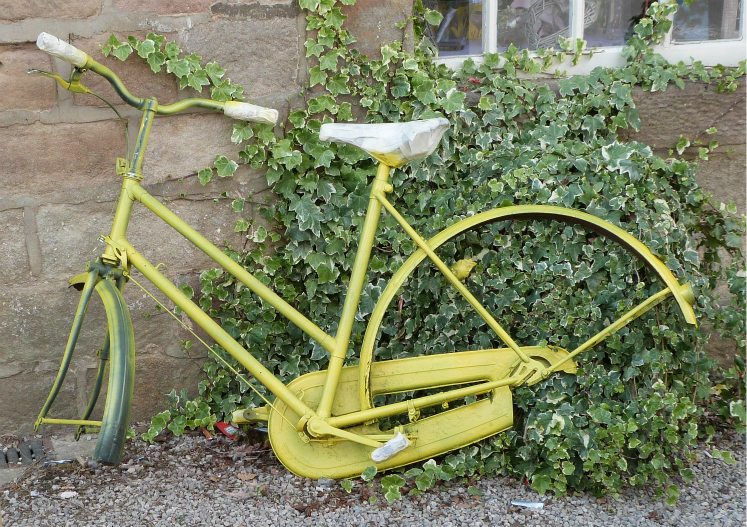 Yellow bike