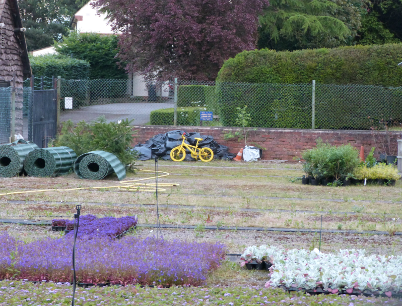 101 Bicyclettes, Harlow Nurseries