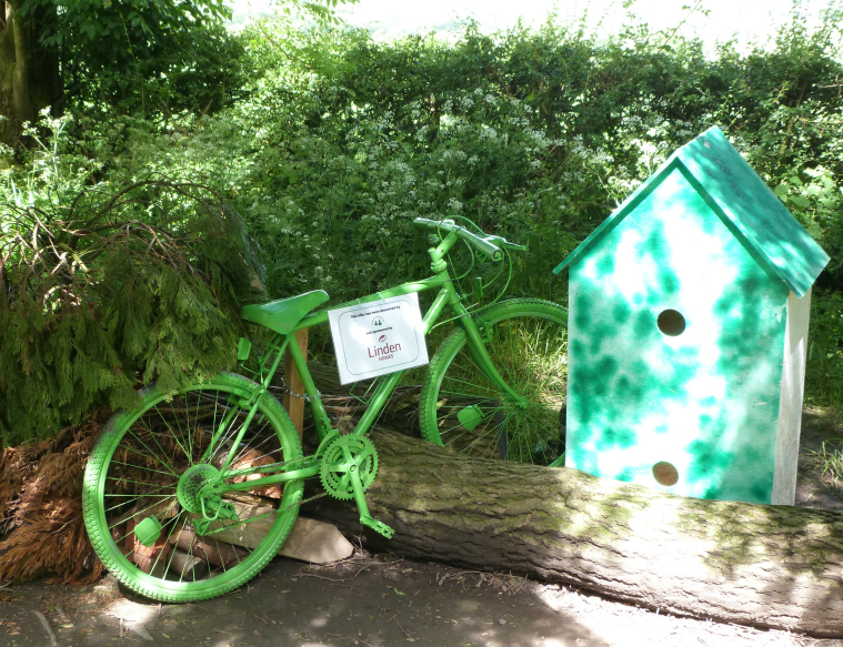 101 Bicyclettes, Pinewoods, by Linden Homes