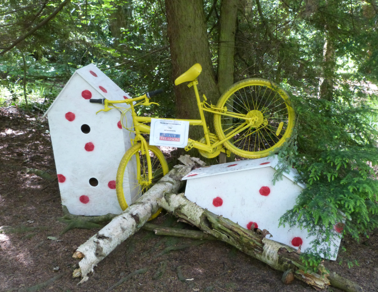 101 Bicyclettes, Pinewoods, by Verity Frearson