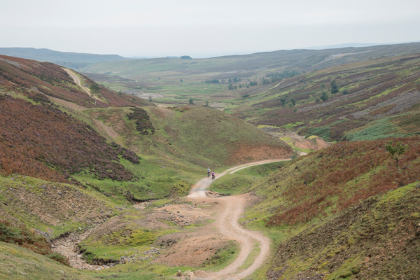 Apedale