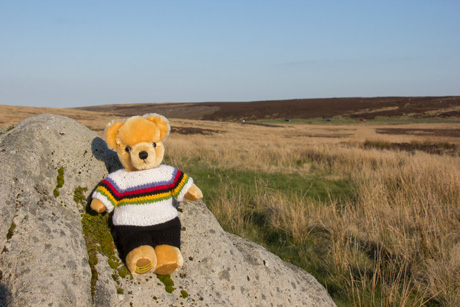 World Champion bear, Blubberhouses Moor