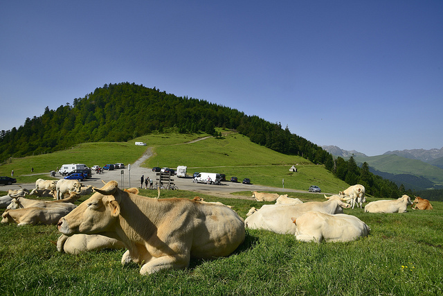 Col d'Aspin