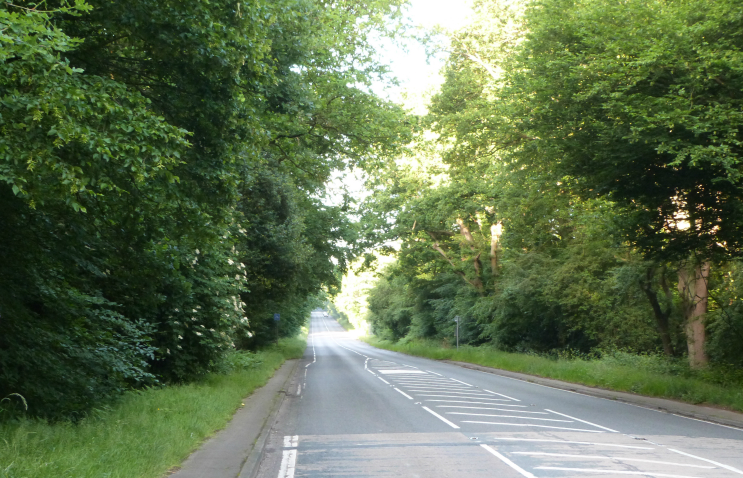 Epping Forest Epping Forest