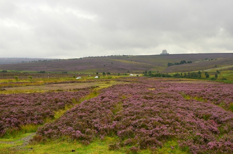 Fylingdales Moor