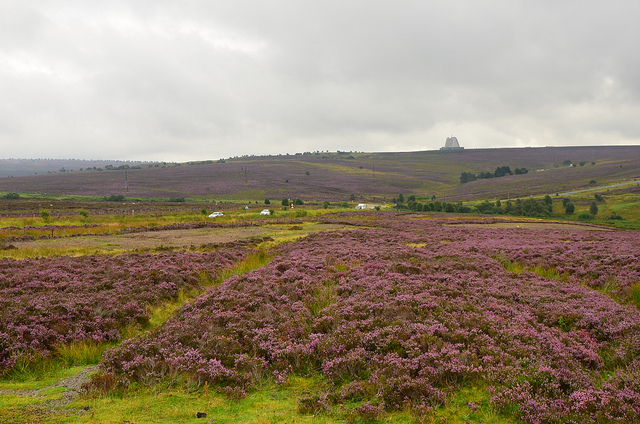 Fylingdales Moor Fylingdales Moor