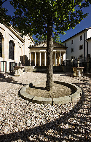 Tree of Guernica