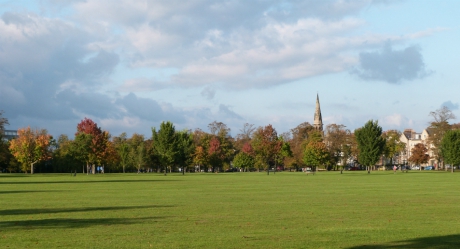 Harrogate Stray