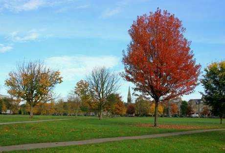 The Stray in October