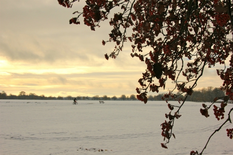 Snow on Harrogate Stray