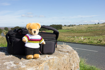 World Champion bear on Greenhow Hill