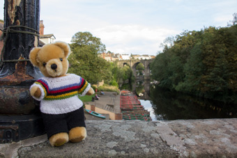 World Champion bear in Knaresborough